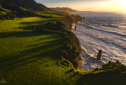 New Zealand 2025 (2 group) (20/84)